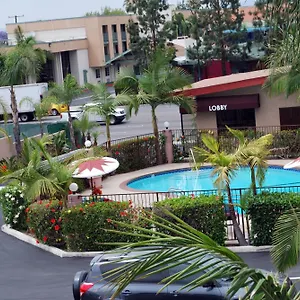 Hotel Budget Near Disneyland Drive
